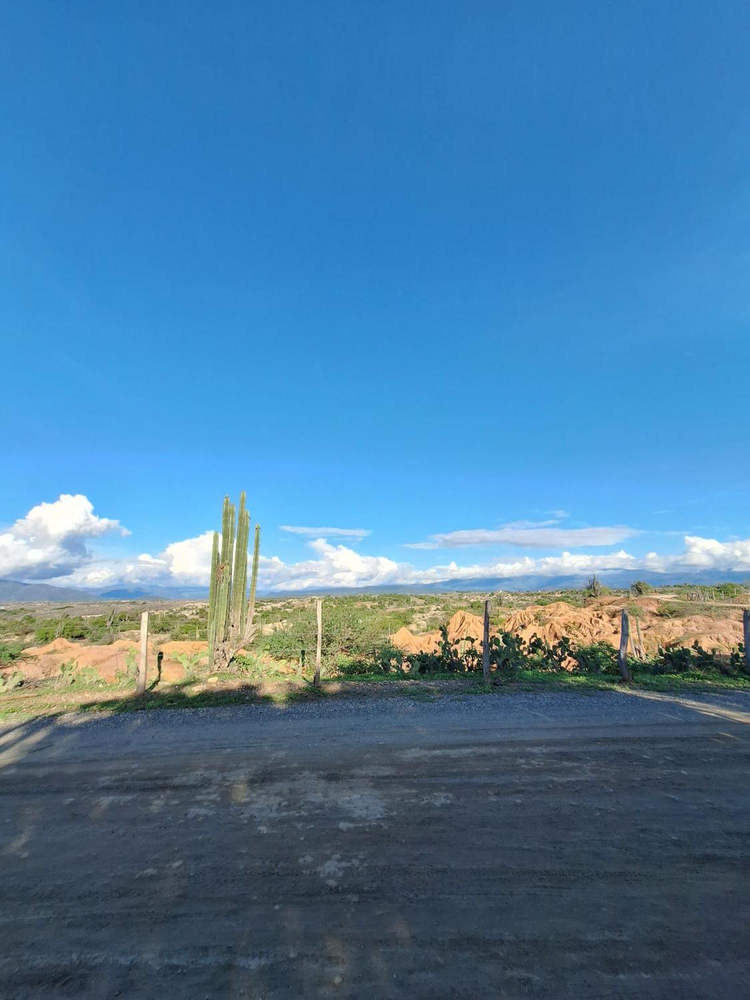 Alojamiento Casa de campo los Cactus Villavieja Exterior foto